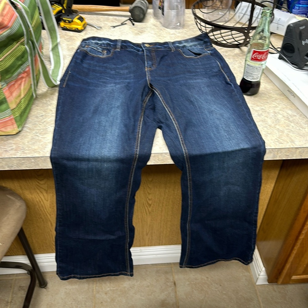 Lane Bryant Jeans